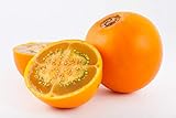 foto Asklepios-seeds® - 30 Semi di Solanum quitoense, miglior prezzo EUR 3,49, bestseller 2024