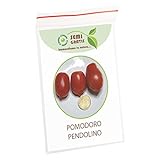 foto SemiGratis - 5 semi di Pomodoro Pendolino - pomodorino piennolo spunzillo pendolo, miglior prezzo EUR 3,50, bestseller 2024