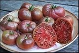 foto 30 CHEROKEE PURPLE pomodori Sementi HEIRLOOM 2018 (sementi cimelio vegetali non OGM), miglior prezzo EUR 10,99, bestseller 2024