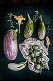 foto 100pcs 12kinds di verdure Semi di melanzane Semi Bonsai piante Semi per la casa e orto biologico Plantas Sementes, miglior prezzo EUR 10,99, bestseller 2024