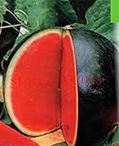 foto 30 semi di anguria pelle nera precoce frutto del seme di anguria Tyulpan russo Organic Heirloom per la semina giardino di casa, miglior prezzo EUR 10,99, bestseller 2024