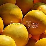foto PlenTree 20 Tigger Semi di Melone Verde Dolce cimelio Organico Non OGM, miglior prezzo , bestseller 2024