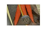foto 30x Carota Giove ( Flakkese Sel - Carote Seme Verdure KS599, miglior prezzo EUR 10,74, bestseller 2024