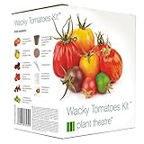 foto Plant Theatre Wacky Tomatoes Kit - 6 diverse varietà da coltivare - Regalo ideale, miglior prezzo EUR 16,99, bestseller 2024