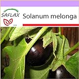 foto PLAT firm-SEMI SAFLAX - Melanzana - 20 semi - Solanum melonga, miglior prezzo EUR 10,64, bestseller 2024
