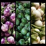 foto SEMI PLAT FIRM- (400) commestibili semi di verdure asiatica rotonda bianco, viola Thai melanzana (Solanum Melongena) da Kitchenseeds, miglior prezzo EUR 12,99, bestseller 2024