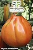 foto 700 C.ca Semi Pomodoro Pearson - Lycopersicum Esculenthum In Confezione Originale Prodotto in Italia - Pomodori, miglior prezzo EUR 7,40, bestseller 2024
