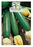 foto 40 C.ca Semi Zucchino Ambassador Hybrid - Cucurbita Pepo In Confezione Originale Prodotto in Italia - Zucchine, miglior prezzo EUR 7,40, bestseller 2024