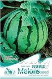 foto Portal Cool 1 confezione di semi di melone semi di ortaggi biologici semi nutrienti piante da giardino caldo, miglior prezzo EUR 9,99, bestseller 2024