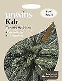 foto Pacchetto Unwins Pictorial – Cavolo Nero – 200 semi, miglior prezzo EUR 1,66, bestseller 2024