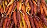 foto Mix di varieta multicolore di carote - NASTRO DI SEMI - 7 m di nastro di semi, miglior prezzo , bestseller 2024