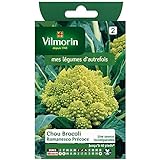 foto Vilmorin - Cavolo Broccolo Romanesco precoce, miglior prezzo , bestseller 2024