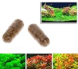 foto Xuniu 40 Pezzi radice acquatica vegetale radice Fertilizzante Acquario Serbatoio di Pesce Serbatoio cilindrico, miglior prezzo EUR 9,06, bestseller 2024