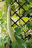 foto Semi di zucca serpente - Lagenaria siceraria - 24 semi - 24 semi, miglior prezzo , bestseller 2024