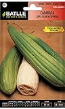 foto Semi ortaggi di Batlle - Zucca Luffa (Seeds), miglior prezzo EUR 5,29, bestseller 2024