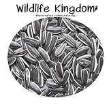 foto Wildlife Kingdom - Semi di girasole striati di alta qualità, adatti come cibo per i pappagalli parrocchetto, mangime energetico per uccelli selvatici✔, miglior prezzo EUR 19,95, bestseller 2024