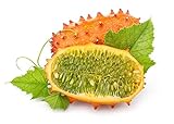 foto Kiwano, semi di melone cornuto - Cucumis metuliferus - 13 semi - 13 semi, miglior prezzo , bestseller 2024