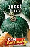 foto Portal Cool Zucca Delica F1 1 pacchetto semina 1 confezione di semi di zucca, miglior prezzo EUR 9,99, bestseller 2024
