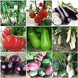 foto Plentree Green Eggplant 30 semi: Heirloom Orto Melanzana semi non OGM Seeds Bianco sopravvivenza organici, miglior prezzo , bestseller 2024