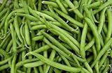 Foto Verde semilla de frijol: Furano haba verde semillas frescas Semilla !!!! (100 + semillas), mejor precio 17,40 €, éxito de ventas 2024