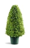 Photo National Tree Company Artificial Shrub | Includes Pot Base | Upright Juniper - 30 Inch, best price $147.01, bestseller 2024