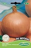 Foto Germisem de Setúbal Semillas de Cebolla 3 g (EC1005), mejor precio 2,70 €, éxito de ventas 2024