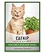 Catnip Seeds for Planting is A Heirloom, Non-GMO Herb Variety- Nepeta Cataria Herb Seeds Great for Indoor and Outdoor Gardening and Indoor Outdoor Cats by Gardeners Basics new 2024