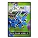Sow Right Seeds - Borage Seed to Plant - Non-GMO Heirloom Seeds - Full Instructions for Easy Planting and Growing a Kitchen Herb Garden, Indoors or Outdoor; Great Gardening Gift (1) new 2024