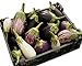 Eggplant Garden Blend 325 Eggplant Seeds +1 Plant Marker - Excellent Varieties new 2024