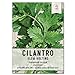 Seed Needs, Cilantro Culinary Herb Seeds for Planting (Coriandrum sativum) Single Package of 250 Seeds Non-GMO / Untreated new 2024