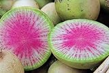 Photo 100 Radis Melon d'eau des graines de radis très unique, meilleur prix 4,59 €, best-seller 2024