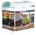 Sweetypet Aquarium: Transport-Fischbecken mit Filter, LED-Beleuchtung und USB, 3,3 Liter (Mini Aquarium) neu 2024