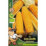 Foto Semillas ecológicas de Maiz Grano Amarillo, mejor precio 4,42 €, éxito de ventas 2024