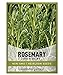 Rosemary Seeds for Planting - It is A Great Heirloom, Non-GMO Herb Variety- Great for Indoor and Outdoor Gardening by Gardeners Basics new 2024