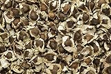 Foto Moringa oleifera - 20 semillas - ¡rábano picante!, mejor precio 9,95 €, éxito de ventas 2024