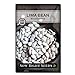 Sow Right Seeds - Henderson Lima Bean Seed for Planting - Non-GMO Heirloom Packet with Instructions to Plant a Home Vegetable Garden new 2024