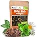10 Herbal and Medical Tea Seeds Pack - Heirloom and Non GMO, Grown in USA - Indoor or Outdoor Garden - Chamomile, Lavender, Mint, Lemon Balm, Catnip, Peppermint, Anise, Coneflower Echinacea & More new 2024