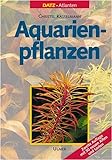 Foto Aquarienpflanzen, bester Preis 69,95 €, Bestseller 2024