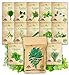 NatureZ Edge 12 Herb Seeds Variety Pack, 6000+ Heirloom Seeds for Planting Hydroponic Indoor or Outdoor Home Garden Plant Seed, Parsley, Cilantro, Basil, Thyme, Chamomile, Oregano, Dill & More NonGMO new 2024