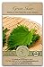 Gaea's Blessing Seeds - Green Shiso Seeds (Perilla), Heirloom Non-GMO Seeds with Easy to Follow Planting Instructions, Kaori Ao Shiso, Open-Pollinated, 94% Germination Rate new 2024