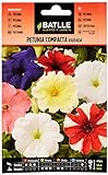 Foto Semillas Batlle - Petunia Compacta VARIADA, Multicolor, mejor precio 1,88 €, éxito de ventas 2024