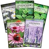 Photo Sow Right Seeds - Herbal Tea Collection - Lemon Balm, Chamomile, Mint, Lavender, Echinacea Herb Seed for Planting; Non-GMO Heirloom Seed, Instructions to Plant Indoor or Outdoor; Great Gardening Gift, best price $10.99, bestseller 2024