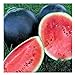 25 Black Diamond Watermelon Seeds | Non-GMO | Heirloom | Instant Latch Garden Seeds new 2024