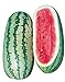 Burpee Georgia Rattlesnake Watermelon Seeds 100 seeds new 2024