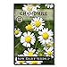 Sow Right Seeds - Roman Chamomile Seeds for Planting - Non-GMO Heirloom Seeds; Instructions to Plant and Grow an Herbal Tea Garden, Indoors or Outdoor; Great Gardening Gift. (1) new 2024