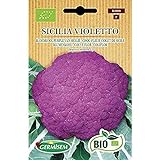 Foto Germisem Orgánica Sicilia Violetto Semillas de Coliflor 1 g (ECBIO3000), mejor precio 3,99 €, éxito de ventas 2024