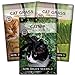 Sow Right Seeds - Catnip and Cat Grass Seed Collection for Planting Indoors or Outdoors, Includes The Popular herb Seed Catnip and Cat Grass (100% Sweet Oat Grass), Non-GMO Heirloom Seed new 2024