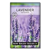 Photo Sow Right Seeds - Lavender Seeds for Planting; Non-GMO Heirloom Seeds with Instructions to Plant and Grow a Beautiful Indoor or Outdoor herb Garden; Great Gardening Gift, best price $4.99, bestseller 2024
