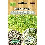 Foto Germisem Orgánica Sprouts Mix Semillas 20 g (ECBIO1900), mejor precio 3,99 €, éxito de ventas 2024