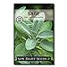 Sow Right Seeds - Sage Seeds for Planting - Non-GMO Heirloom Sage Seeds with Instructions to Plant and Grow Kitchen Herb Garden, Indoor or Outdoor; Great Garden Gift (1) new 2024